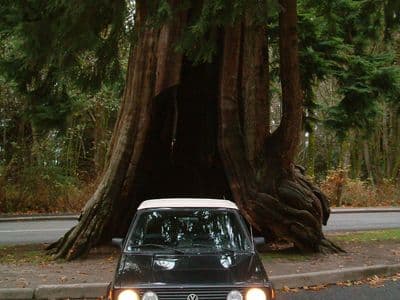 Mads Nissen's VW Rabbit convertible parked beneath a giant redwood tree on the drive from San Diego to Seattle, 2003